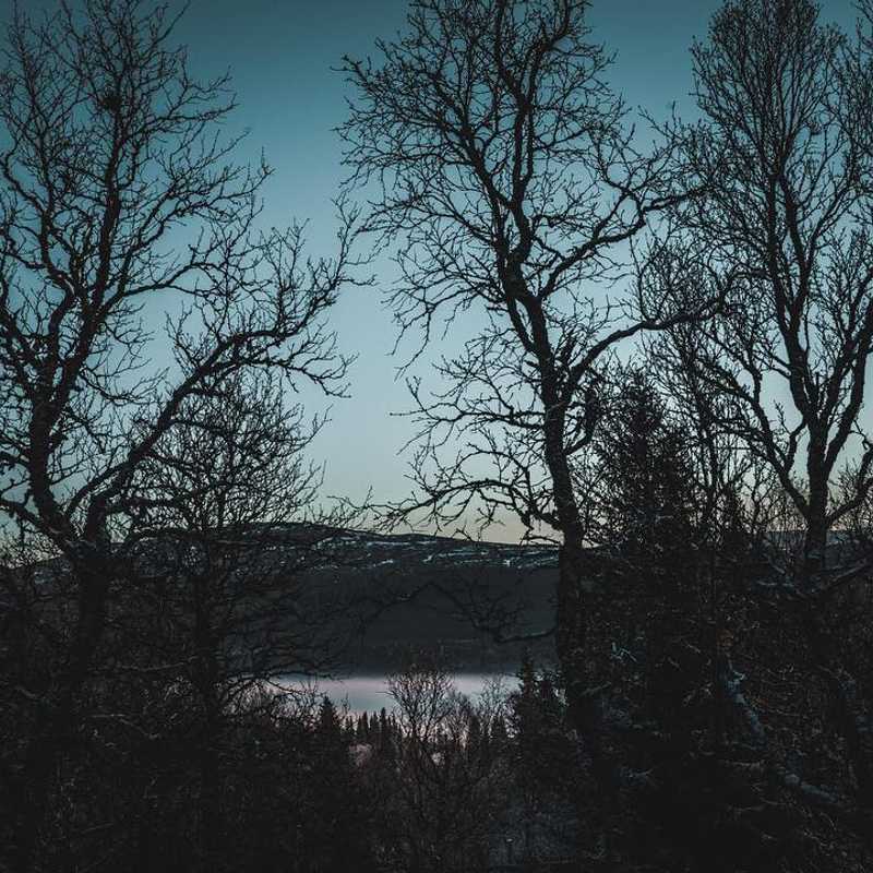 Frozen landscape #naturephotography #beautifuldestinations #landscape #åre #photo #winter #ice #frozen #cold #viktorohlin #aiv #allinvision #november #view