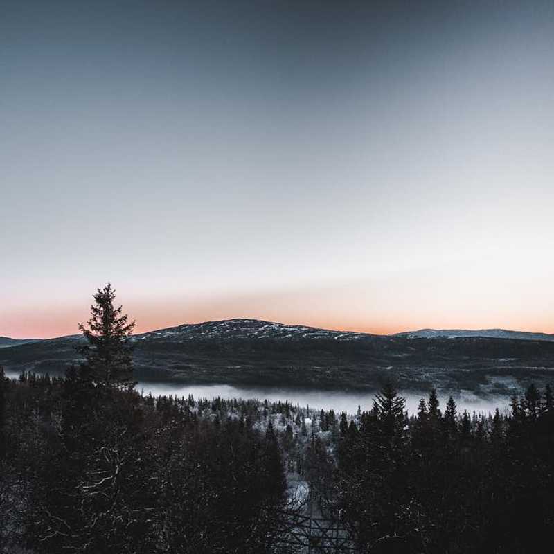 🌅❄️🌲 #photo #photos #pic #pics #allinvision #picture #pictures #snapshot #art #beautiful #instagood #picoftheday #photooftheday #color #all_shots #exposure #composition #focus #capture #moment #hdr #avi #viktorohlin #dji #hasselblad #drone #hdr_lovers #awesome_hdr